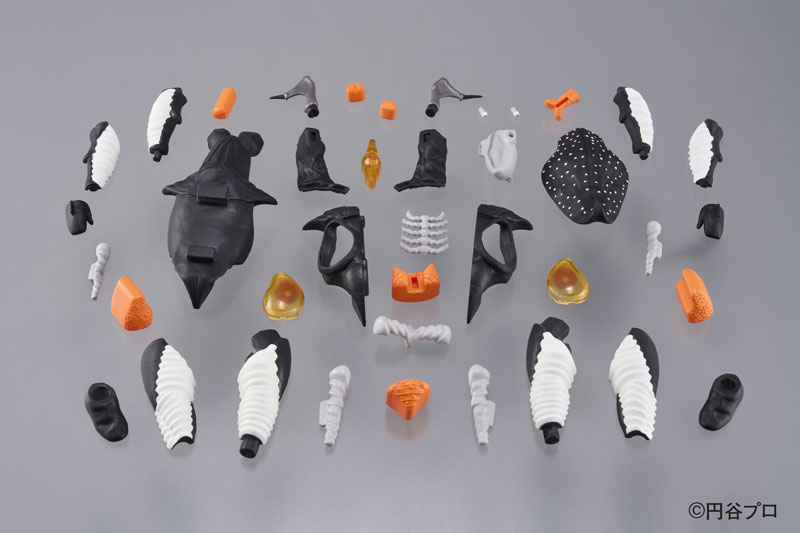 [Ư������] ��ü ���� ��Ÿ�� ��Ʈ��� - ���� [4975430518073]