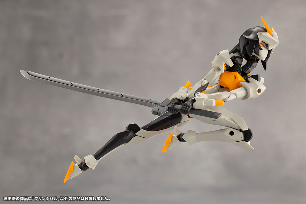 [��������] �ް��θ����� �������� [9���԰��Ϸ�] [4934054043972]