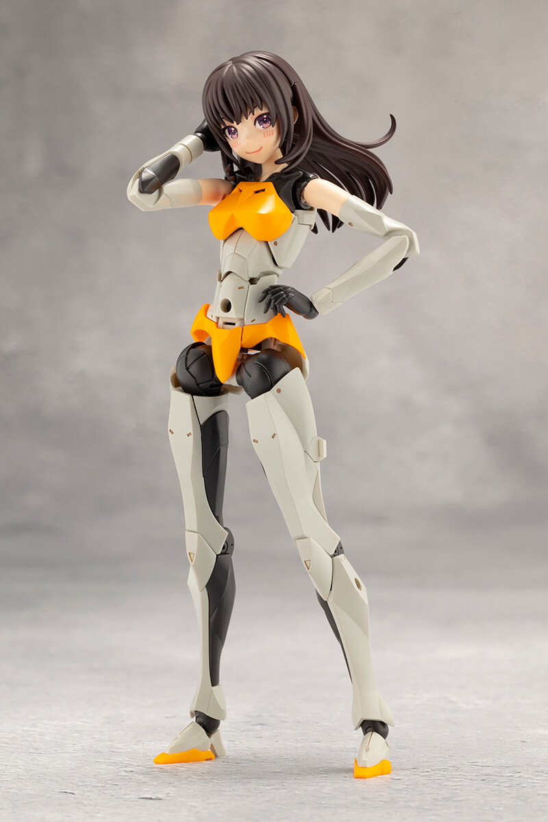 [��������] �ް��θ����� �������� [9���԰��Ϸ�] [4934054043972]