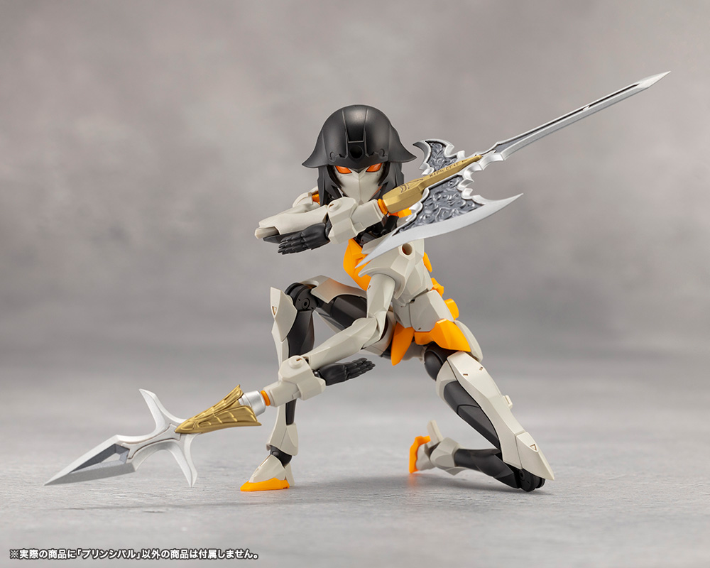 [��������] �ް��θ����� �������� [9���԰��Ϸ�] [4934054043972]