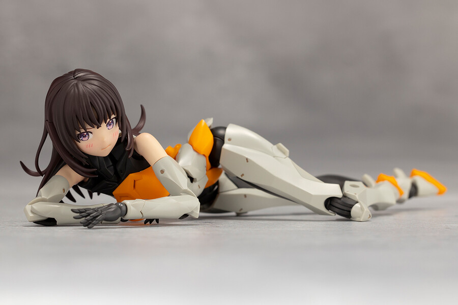 [��������] �ް��θ����� �������� [9���԰��Ϸ�] [4934054043972]