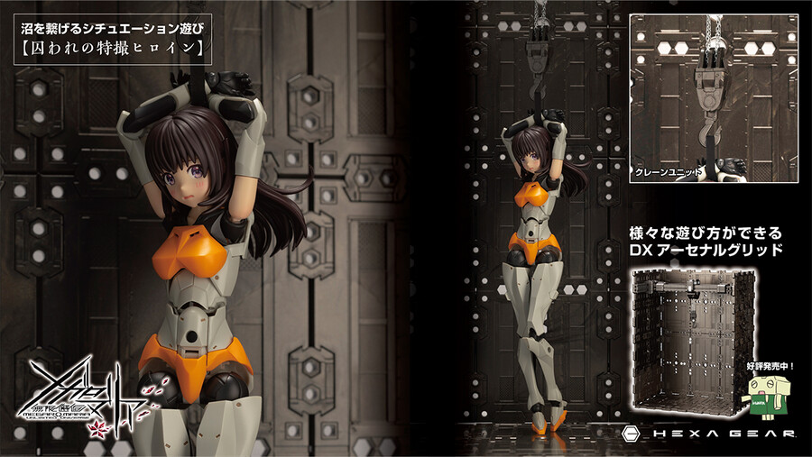 [��������] �ް��θ����� �������� [9���԰��Ϸ�] [4934054043972]