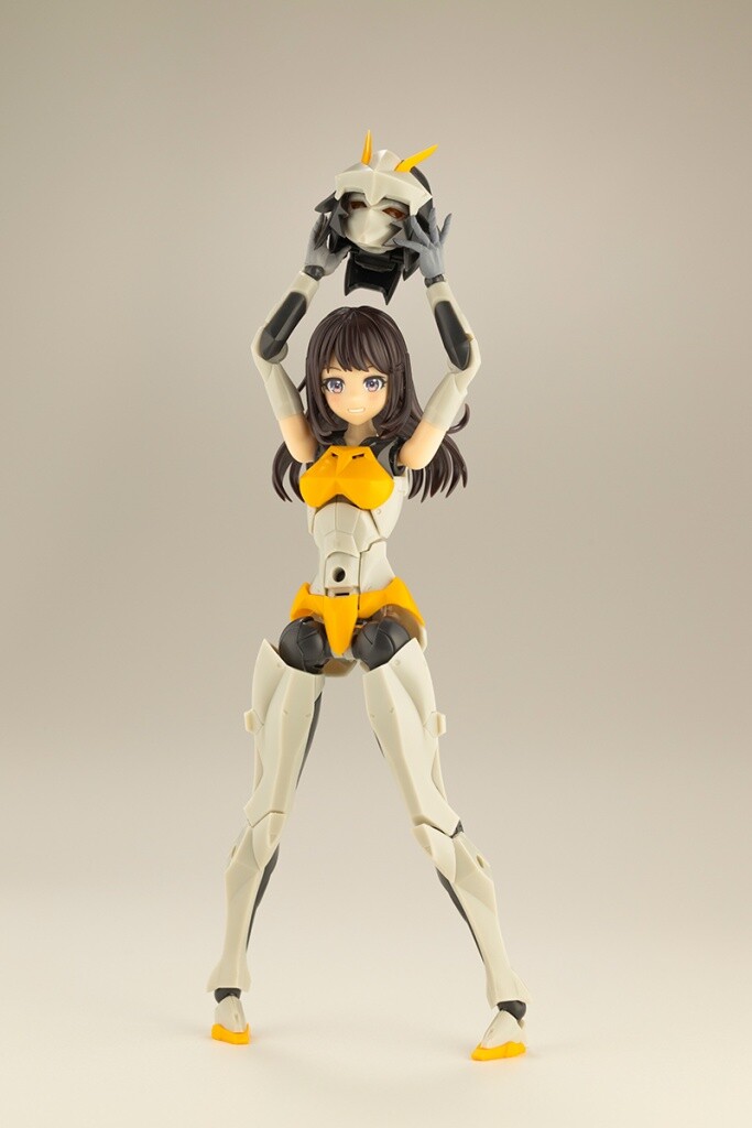 [��������] �ް��θ����� �������� [9���԰��Ϸ�] [4934054043972]