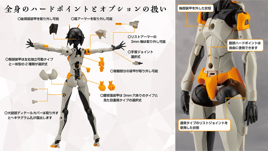 [��������] �ް��θ����� �������� [9���԰��Ϸ�] [4934054043972]