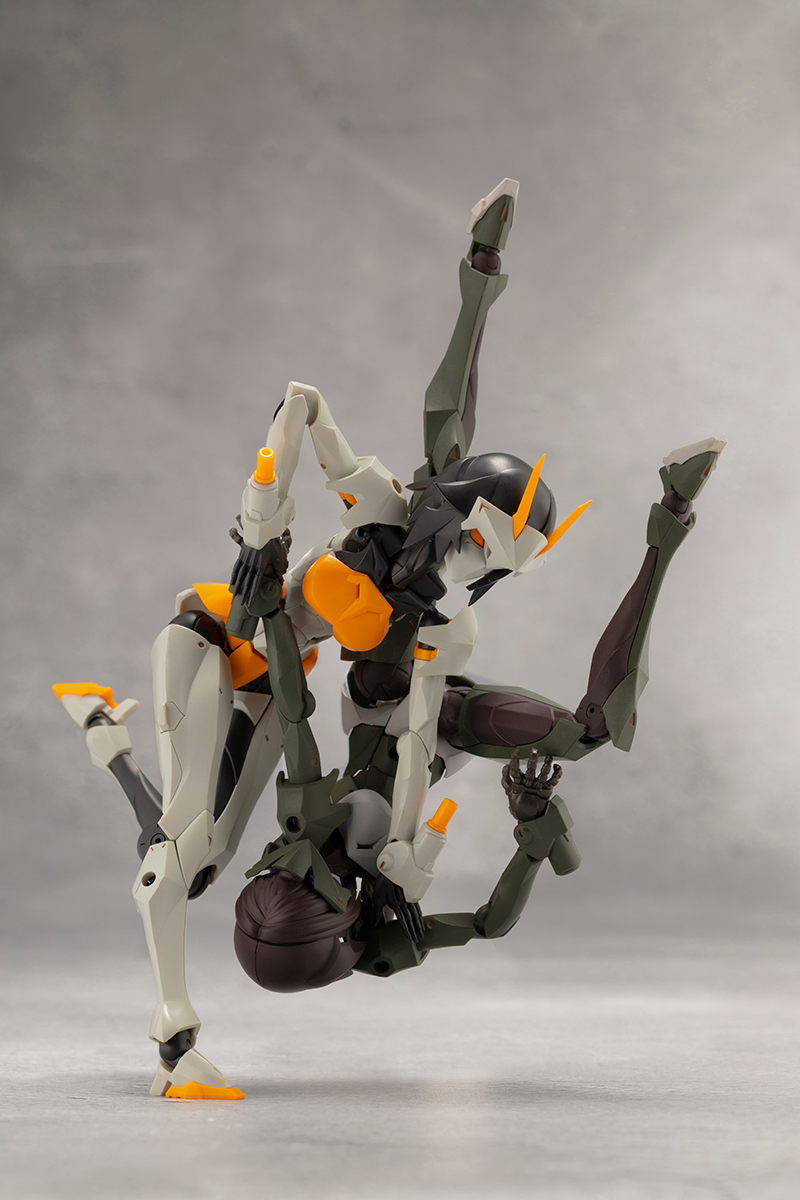 [��������] �ް��θ����� �������� [9���԰��Ϸ�] [4934054043972]