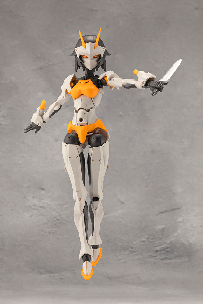 [��������] �ް��θ����� �������� [9���԰��Ϸ�] [4934054043972]