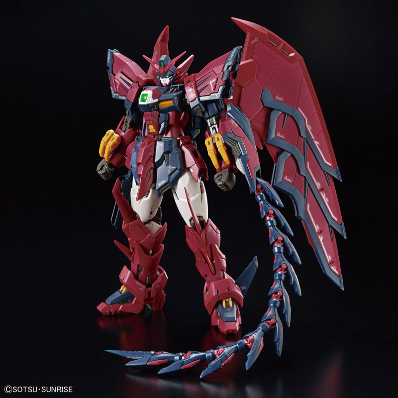 [RG 38] 1/144 �Ǵ� ���ǿ� [12���԰��Ϸ�] [4573102654427]