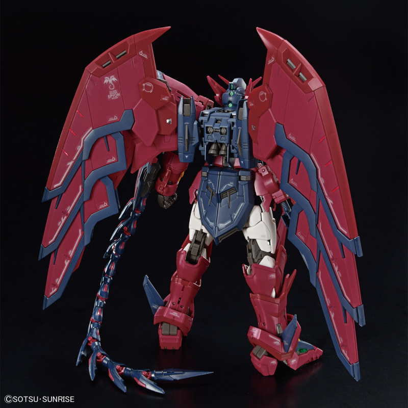 [RG 38] 1/144 �Ǵ� ���ǿ� [12���԰��Ϸ�] [4573102654427]