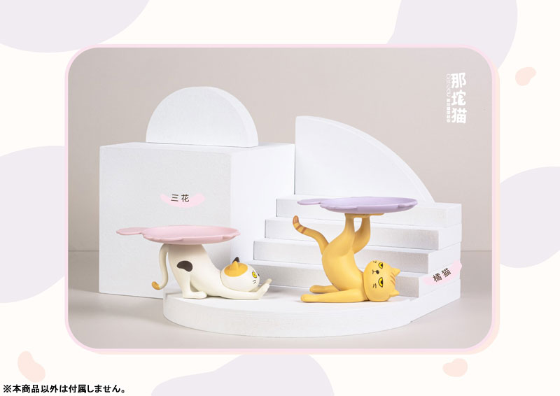 ���� ���� ������(1�ڽ�6����) [10���԰��Ϸ�] [4582362386207]