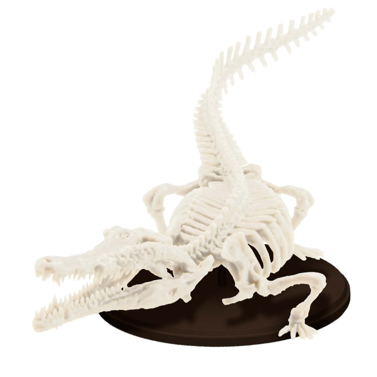 �ڹ��� �𵨸� Ŭ�� 1/35 ��ġī�׾Ǿ�(���Ÿ���Ǹ��̾�) ���(1�ڽ�4����) [10���԰��Ϸ�] [4582361787548]