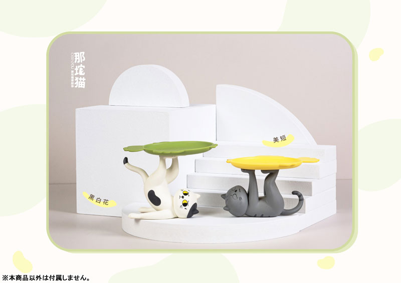 ���� ���� ������(1�ڽ�6����) [10���԰��Ϸ�] [4582362386207]