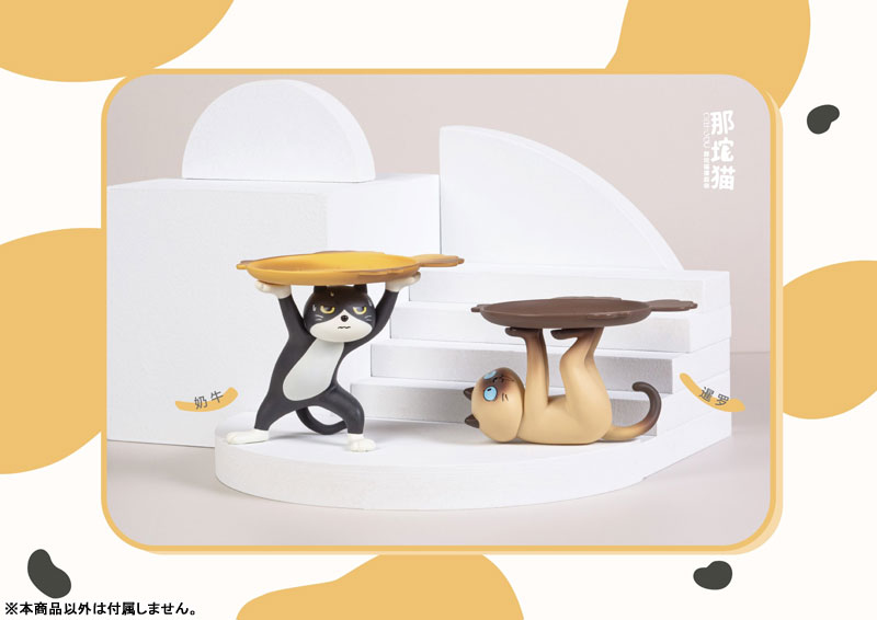 ���� ���� ������(1�ڽ�6����) [10���԰��Ϸ�] [4582362386207]