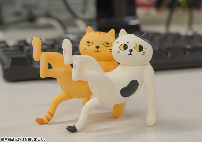 ���� ���� ������(1�ڽ�6����) [10���԰��Ϸ�] [4582362386207]