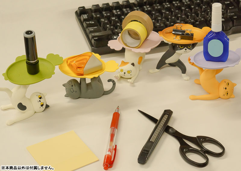 ���� ���� ������(1�ڽ�6����) [10���԰��Ϸ�] [4582362386207]