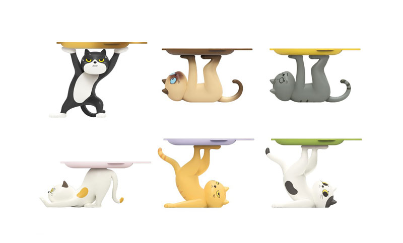 ���� ���� ������(1�ڽ�6����) [10���԰��Ϸ�] [4582362386207]