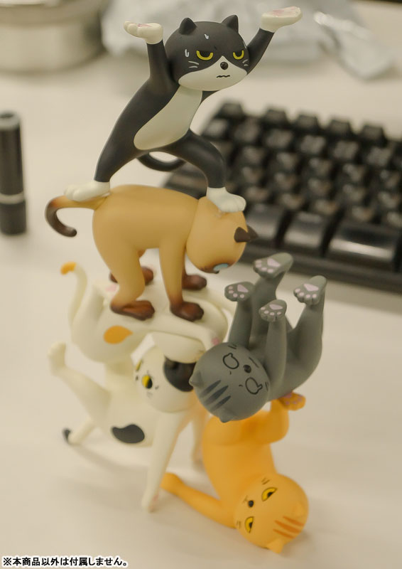 ���� ���� ������(1�ڽ�6����) [10���԰��Ϸ�] [4582362386207]