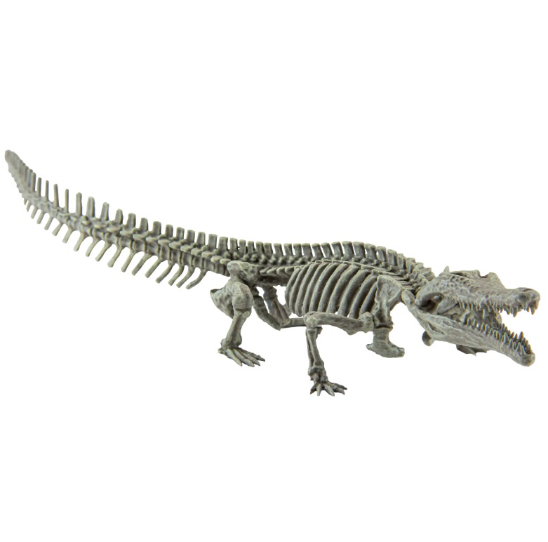 �ڹ��� �𵨸� Ŭ�� 1/35 ��ġī�׾Ǿ�(���Ÿ���Ǹ��̾�) ���(1�ڽ�4����) [10���԰��Ϸ�] [4582361787548]