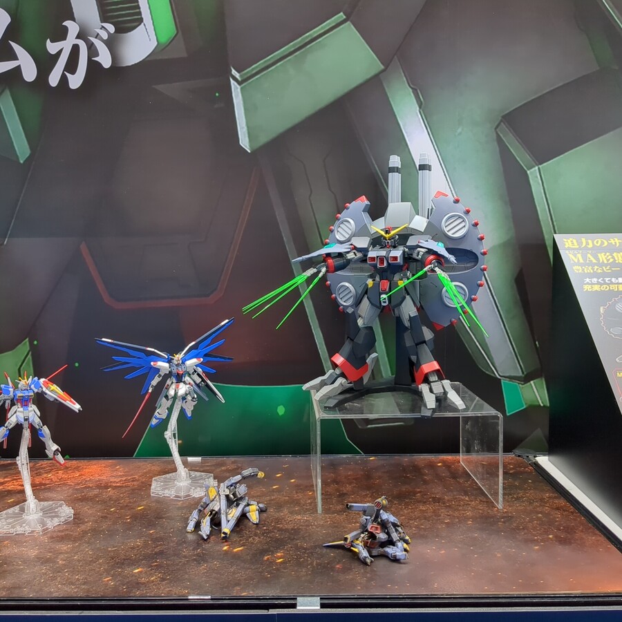 [HGCE 246] 1/144 ��Ʈ���� �Ǵ� [1���԰��Ϸ�][4573102662972]