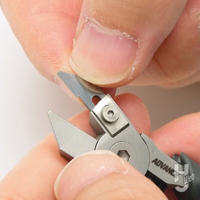 �����׳� ���� ��庥�� [1���԰��Ϸ�] [4580474577681]