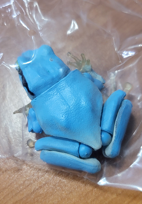 [����ǰ] [�̰���] ���� �뵵�� û������(û��) [9���԰��Ϸ�] [4549660971290]