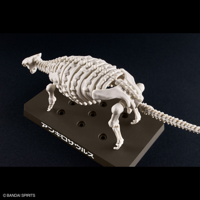 [�������罺][6] ��ų�λ��罺 [3���԰��Ϸ�] [4573102657022]