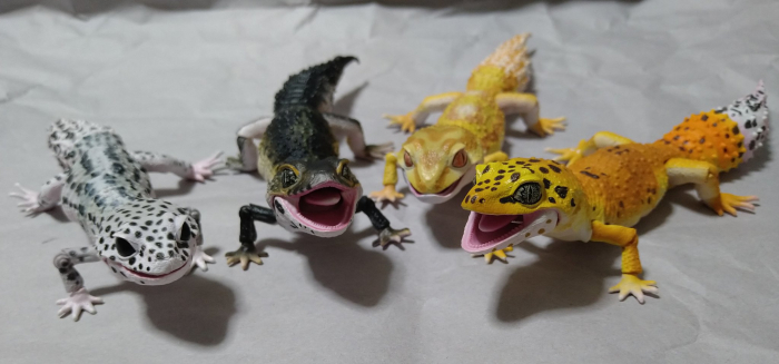 ���� �뵵�� ��庥�� �����ĵ� ���� 3�� ��Ʈ [11���԰��Ϸ�] [4570117962394]