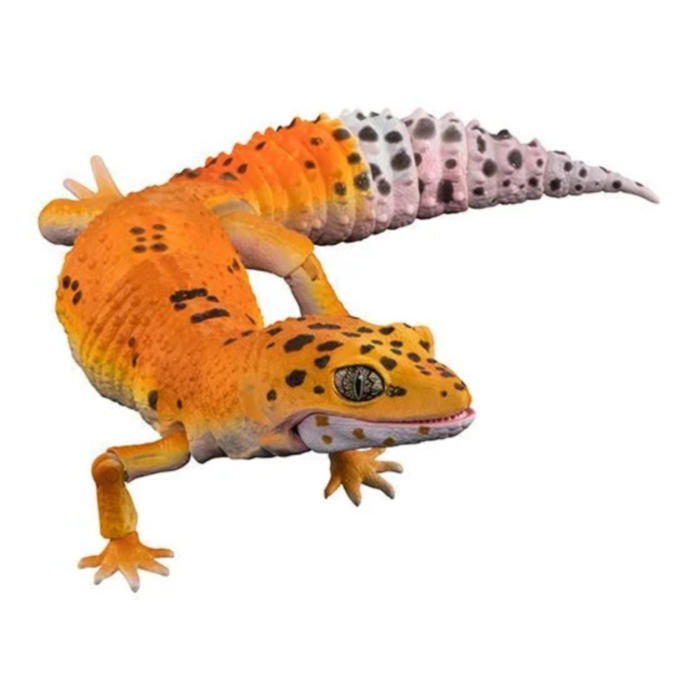 ���� �뵵�� ��庥�� �����ĵ� ���� 4�� ��Ʈ [11���԰��Ϸ�] [4570117962394]