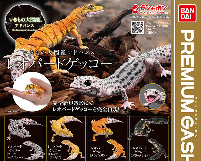 ���� �뵵�� ��庥�� �����ĵ� ���� 4�� ��Ʈ [11���԰��Ϸ�] [4570117962394]