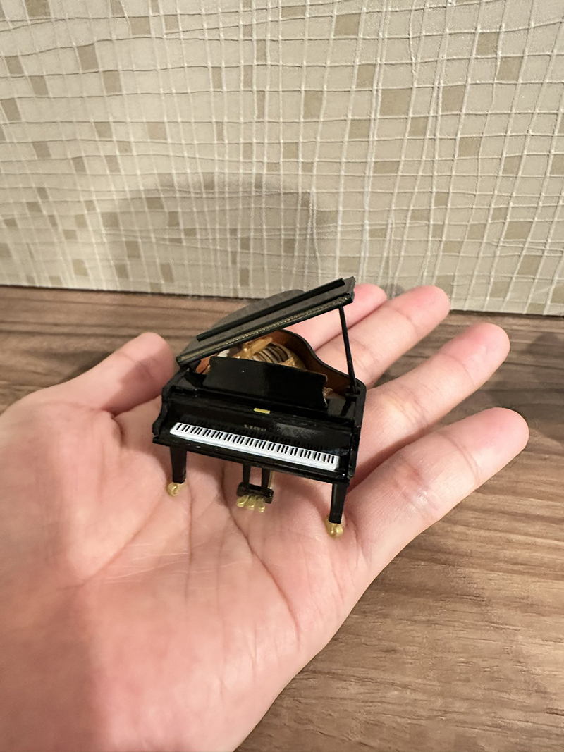 [�����߼�] ī���� �ǾƳ� �̴Ͼ�ó �ݷ���(1�������߼�) [12���԰��Ϸ�] [4573567418725]