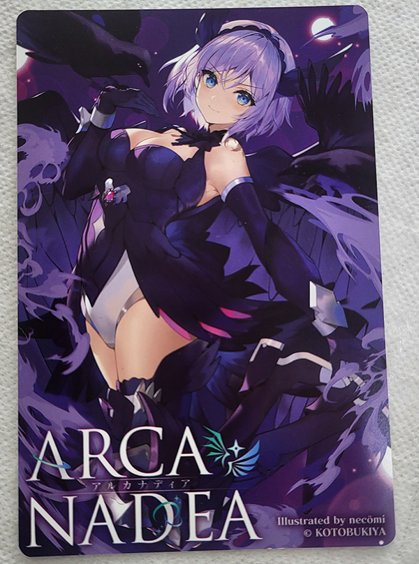 [�ѱ�Ư������] [�Ƹ�ī�����] ���Ƽ�� ����Ʈ-A [12���԰��Ϸ�] [4934054056156]