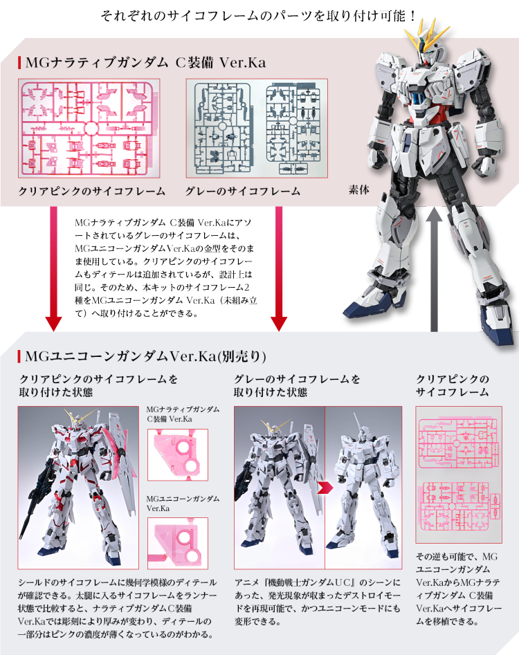 [MG] 1/100 ����Ƽ�� �Ǵ� C���� Ver.Ka [12���԰��Ϸ�] [4573102663085]