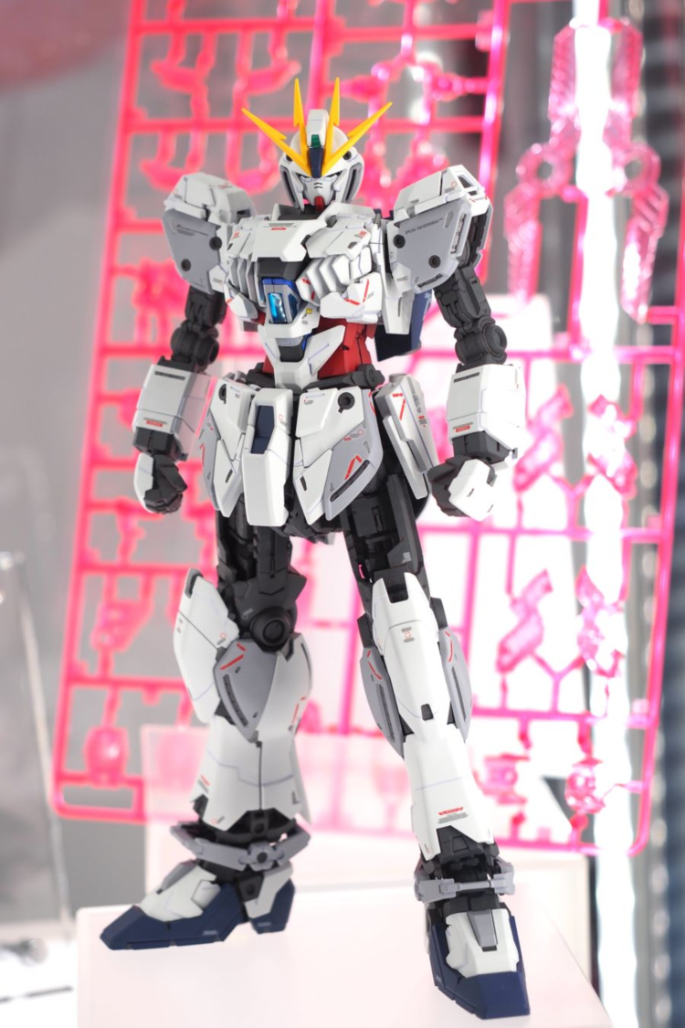 [MG] 1/100 ����Ƽ�� �Ǵ� C���� Ver.Ka [12���԰��Ϸ�] [4573102663085]