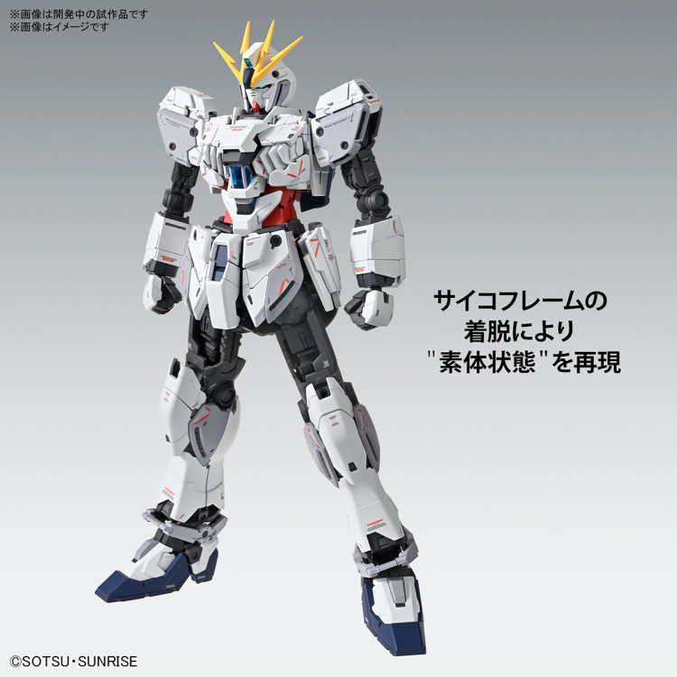 [MG] 1/100 ����Ƽ�� �Ǵ� C���� Ver.Ka [12���԰��Ϸ�] [4573102663085]