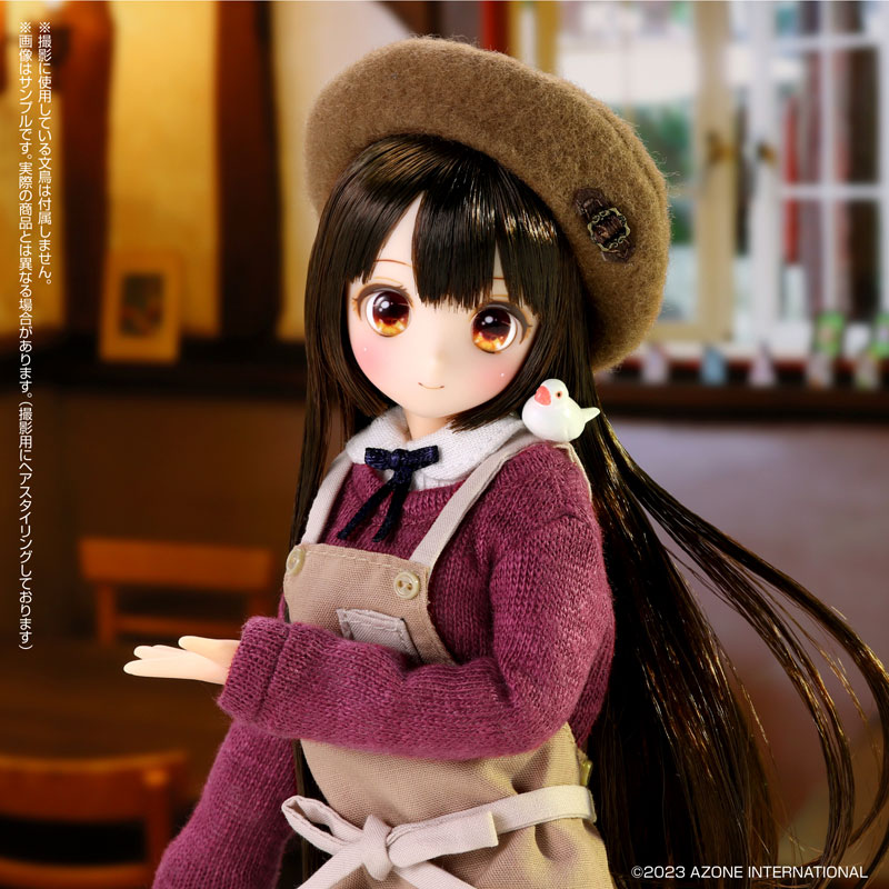 1/6 �÷�Ǯ �帮�� ���丮 ���ڳ� �츮���� ���ο� �̾߱� [1���԰��Ϸ�] [4582119999322]