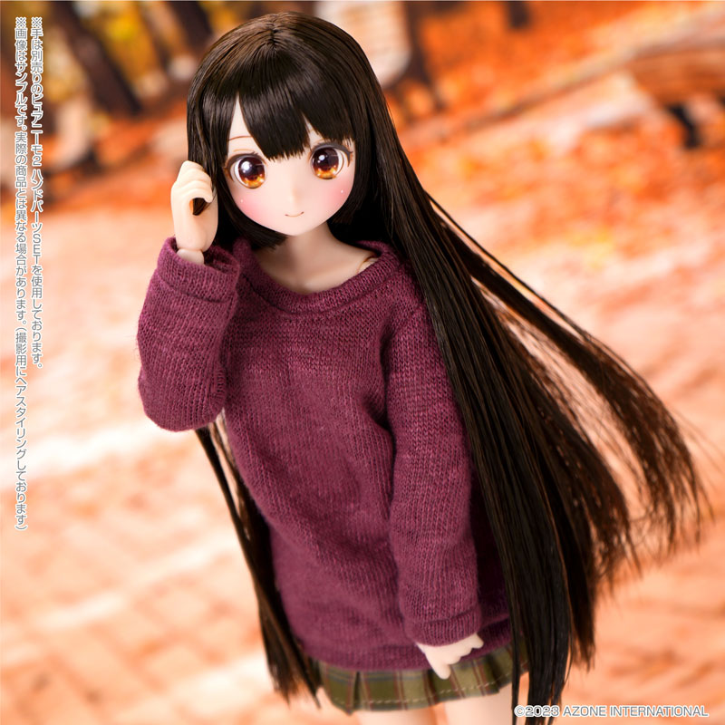 1/6 �÷�Ǯ �帮�� ���丮 ���ڳ� �츮���� ���ο� �̾߱� [1���԰��Ϸ�] [4582119999322]