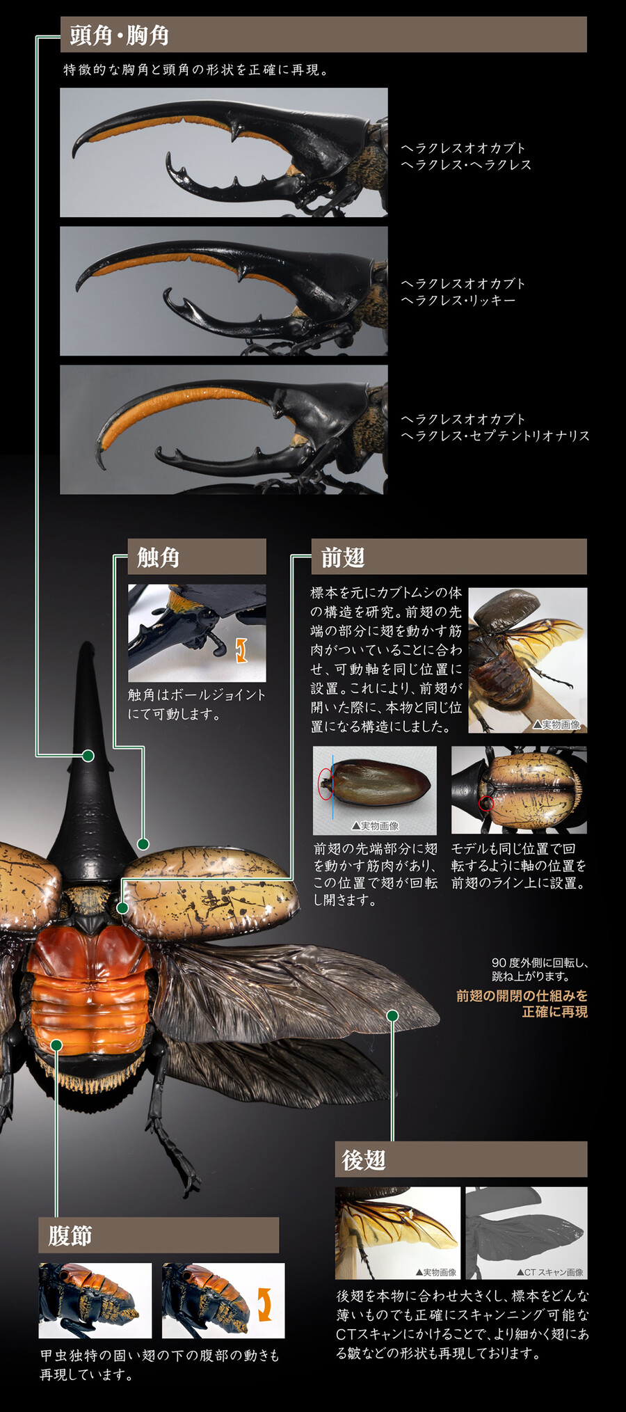 ���� �뵵�� ���꽺 ���Ŭ���� ���ǳ���� ���Ŭ���� [1���԰��Ϸ�] [4570117983016]