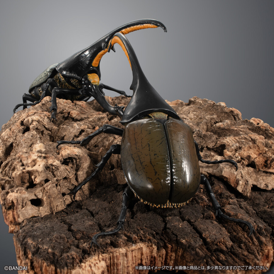 ���� �뵵�� ���꽺 ���Ŭ���� ���ǳ���� ���Ŭ���� [1���԰��Ϸ�] [4570117983016]