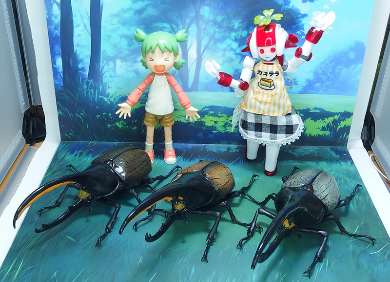 ���� �뵵�� ���꽺 ���Ŭ���� ���ǳ���� ���Ŭ���� [1���԰��Ϸ�] [4570117983016]