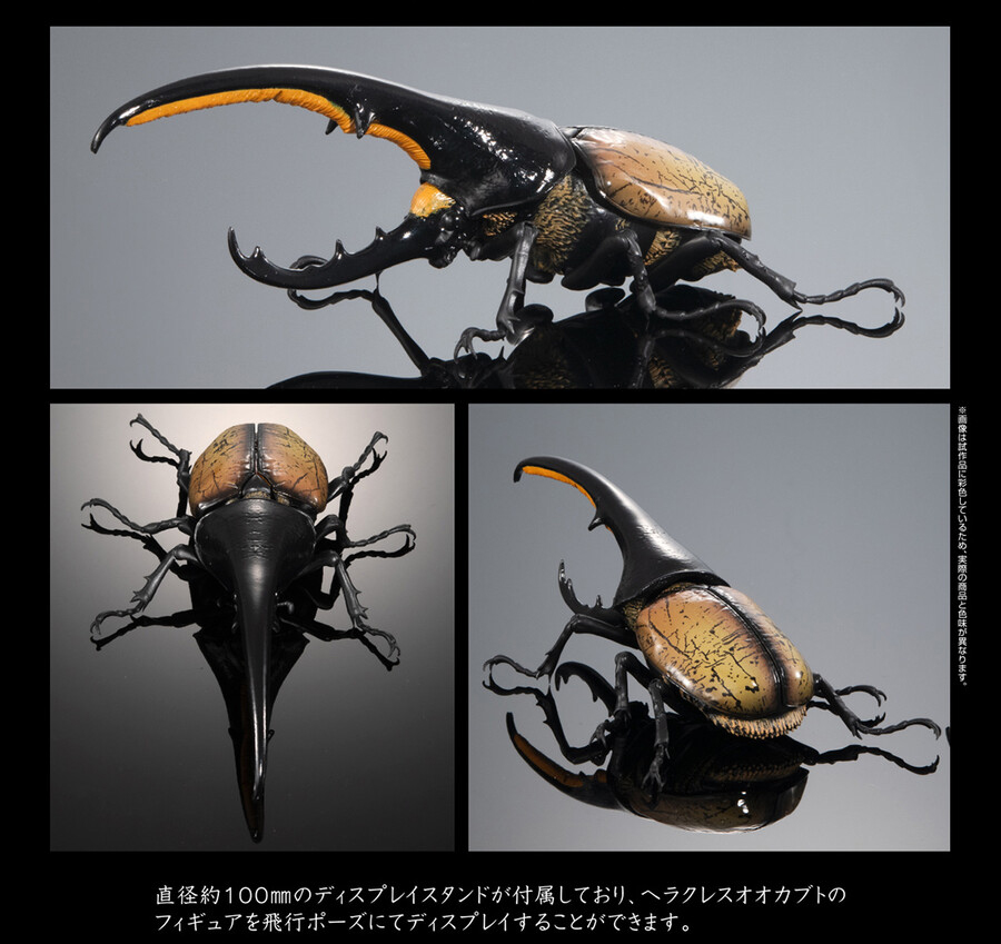 ���� �뵵�� ���꽺 ���Ŭ���� ���ǳ���� ���Ŭ���� [1���԰��Ϸ�] [4570117983016]