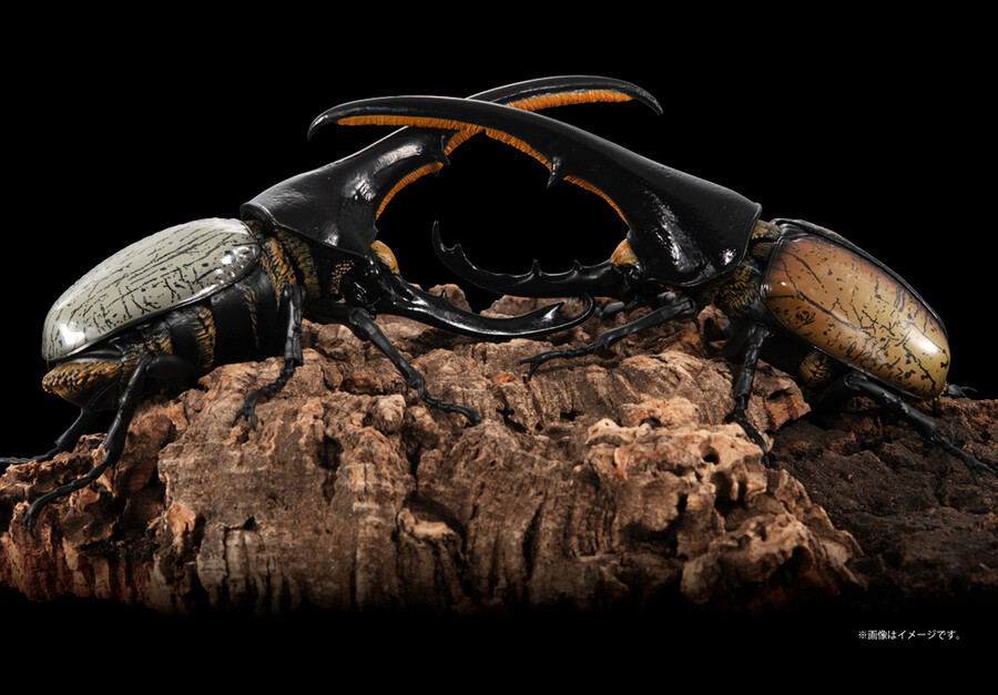 ���� �뵵�� ���꽺 ���Ŭ���� ���ǳ���� ���Ŭ���� [1���԰��Ϸ�] [4570117983016]