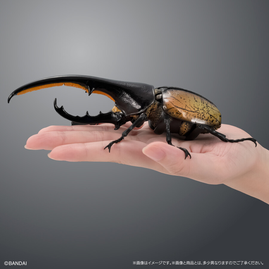 ���� �뵵�� ���꽺 ���Ŭ���� ���ǳ���� ���Ŭ���� [1���԰��Ϸ�] [4570117983016]