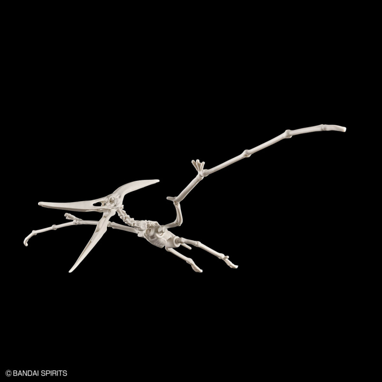 [�������罺][7] ���׶�뵷 [3���԰��Ϸ�] [4573102662828]