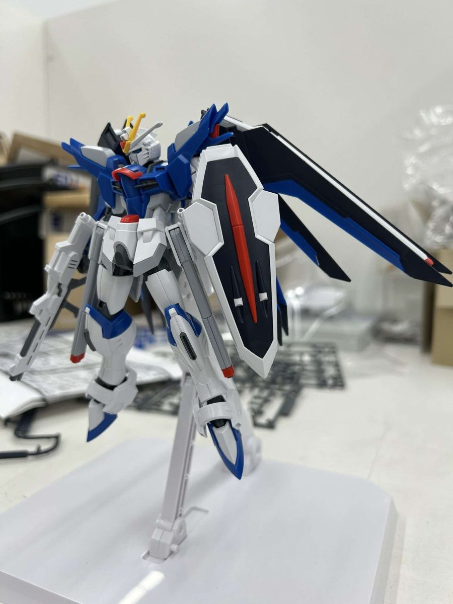 [HGCE 243] 1/144 ����¡ ������ �Ǵ� [1���԰��Ϸ�] [4573102662842]