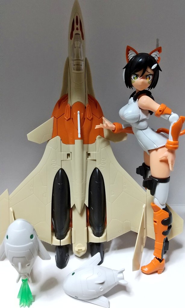 ACKS VFG ��ũ�ν� ��Ÿ VF-31D �����SP [2���԰��Ϸ�] [4905083061800]