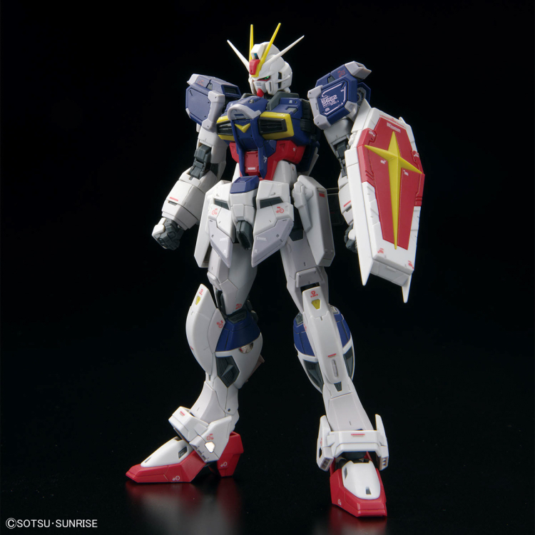 [RG 39] 1/144 ���� ���޽� �Ǵ� ����2 [3���԰��Ϸ�] [4573102662897]
