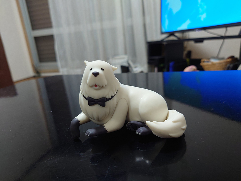 [��ǰ�ǱԾ�] ������x�йи� ���� ������ ���� ���� [2���԰��Ϸ�] [4582702260617]