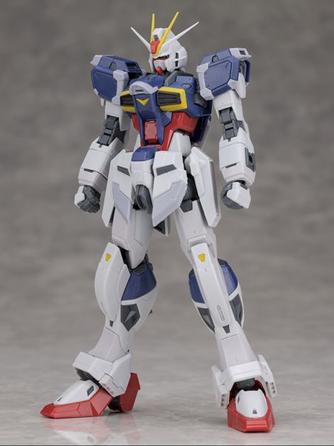 [RG 39] 1/144 ���� ���޽� �Ǵ� ����2 [3���԰��Ϸ�] [4573102662897]