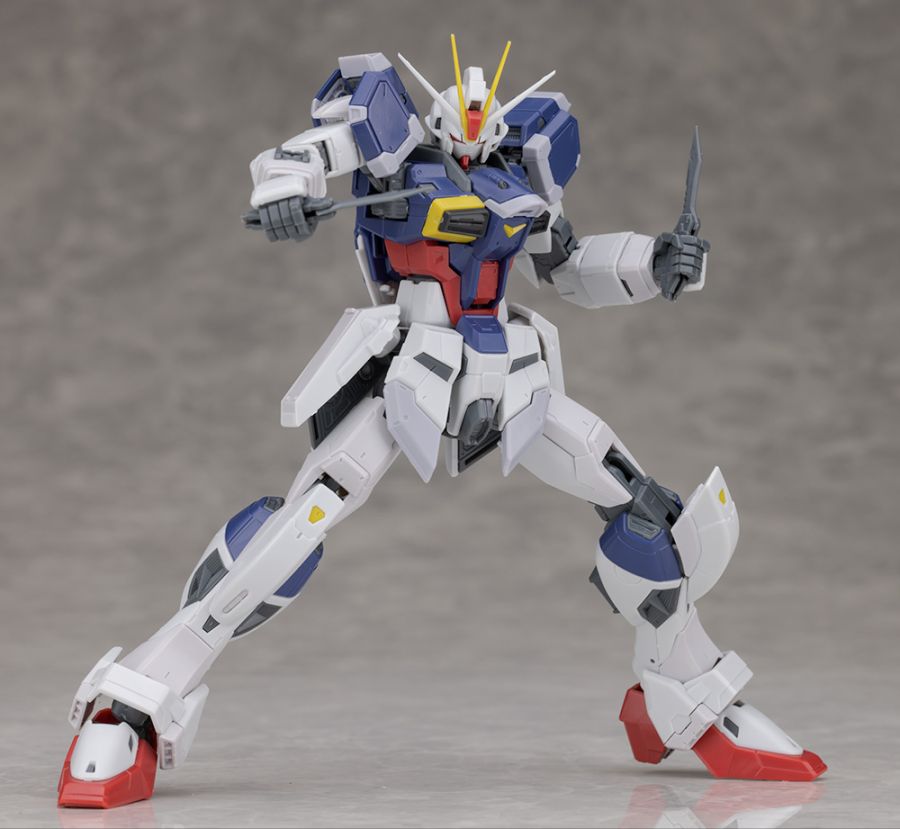 [RG 39] 1/144 ���� ���޽� �Ǵ� ����2 [3���԰��Ϸ�] [4573102662897]
