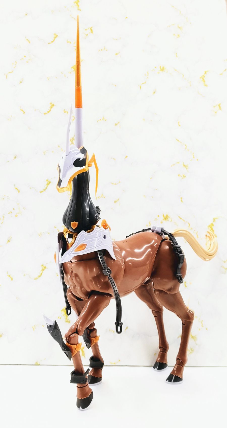 [�Ƹ�ī�����] ������ [11���԰��Ϸ�] [4934054039166]