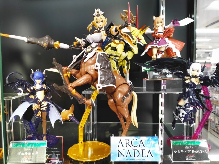 [�Ƹ�ī�����] ������ [11���԰��Ϸ�] [4934054039166]